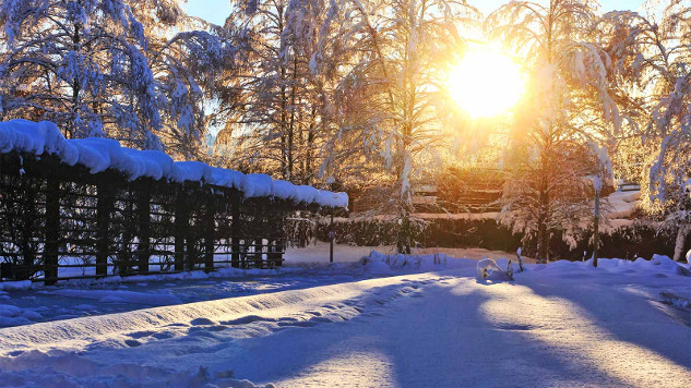 Are winter light hours better for metabolism? winter light metabolism 1600